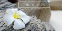 Diana Zilly LLC